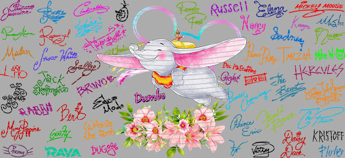 16oz Disney style-D-1300